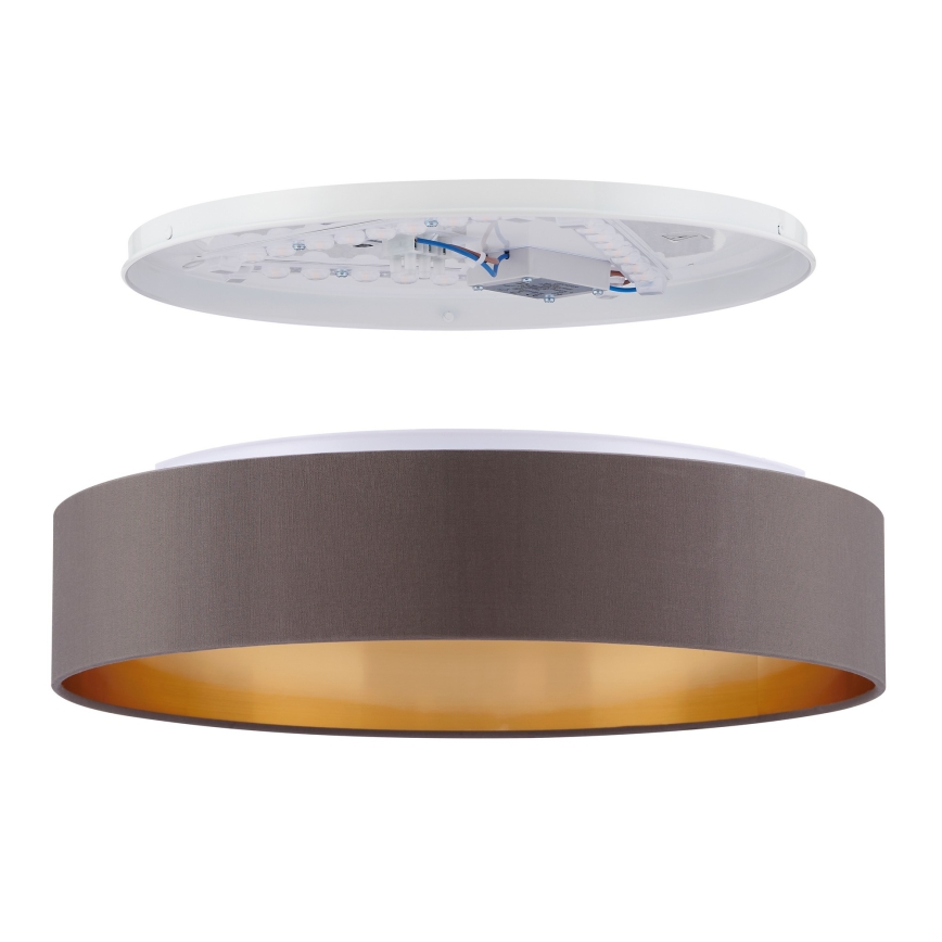 Eglo - LED Stropna svetilka LED/24W/230V