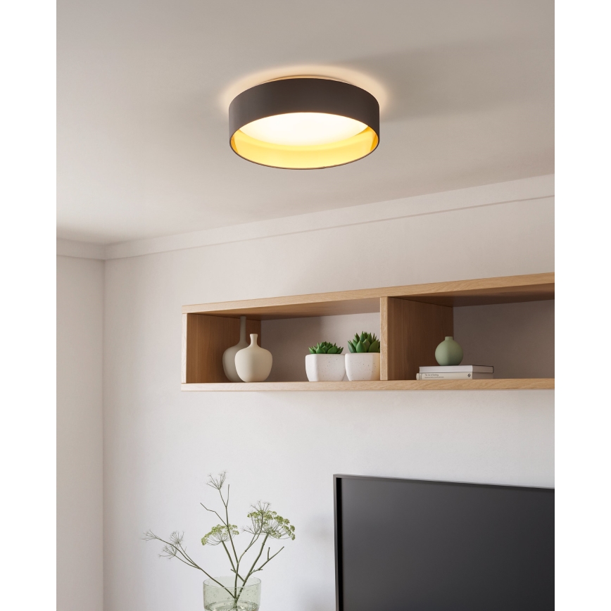 Eglo - LED Stropna svetilka LED/24W/230V