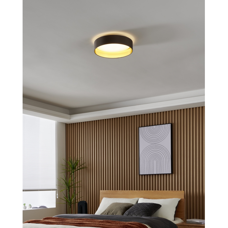 Eglo - LED Stropna svetilka LED/24W/230V