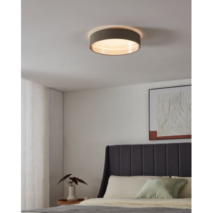 Eglo - LED Stropna svetilka LED/24W/230V