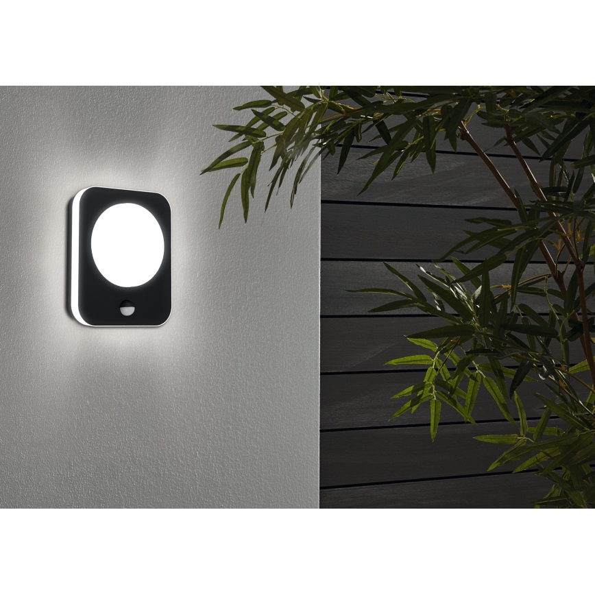 Eglo - LED Zunanja stenska svetilka s senzorjem LED/9W/230V IP44