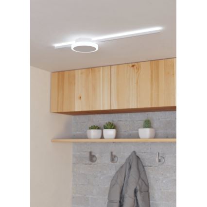 Eglo - LED Stropna svetilka 1xLED/6,3W/230V + 1xLED/5,4W
