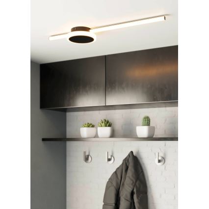 Eglo - LED Stropna svetilka 1xLED/6,3W/230V + 1xLED/5,4W