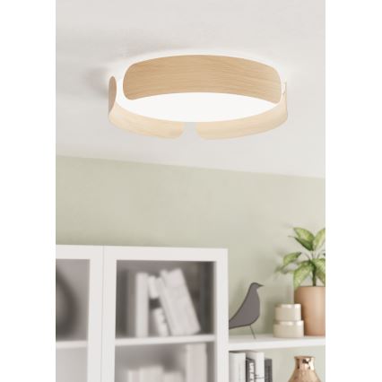 Eglo - LED Stropna svetilka LED/24W/230V