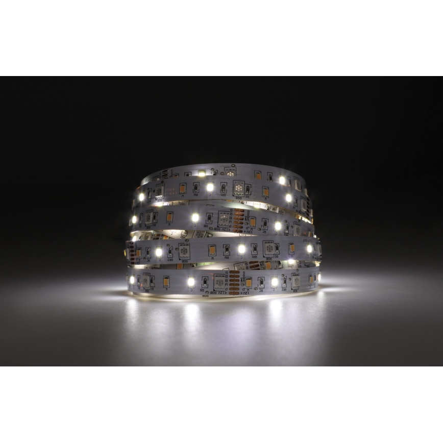 Eglo - LED RGBW Zatemnitveni trak 5m LED/11W/12/230V 2700-6500K ZigBee