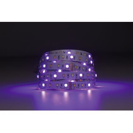 Eglo - LED RGBW Zatemnitveni trak 5m LED/11W/12/230V 2700-6500K ZigBee