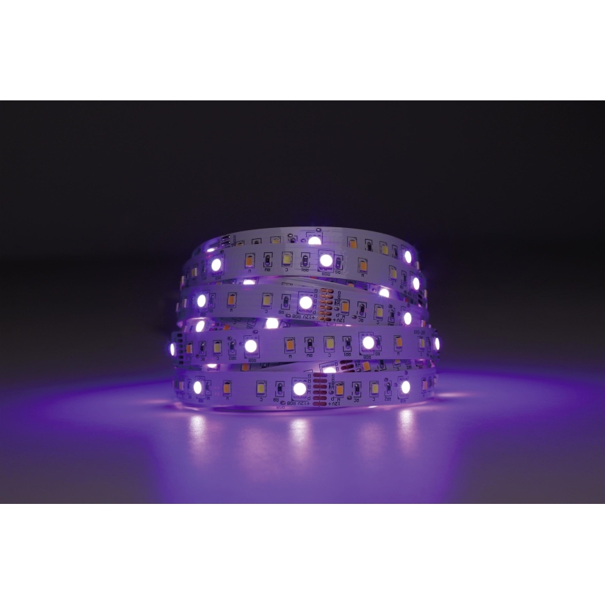 Eglo - LED RGBW Zatemnitveni trak 5m LED/11W/12/230V 2700-6500K ZigBee