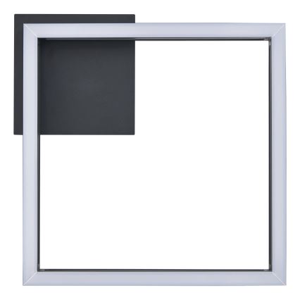 Eglo - LED Stropna svetilka LED/11,2W/230V črna