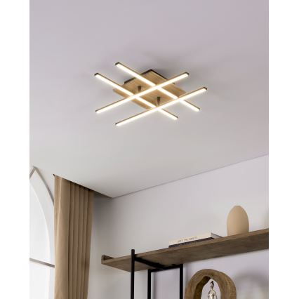 Eglo - LED Stropna svetilka LED/21W/230V