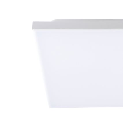 Eglo - LED Stropna svetilka LED/10W/230V