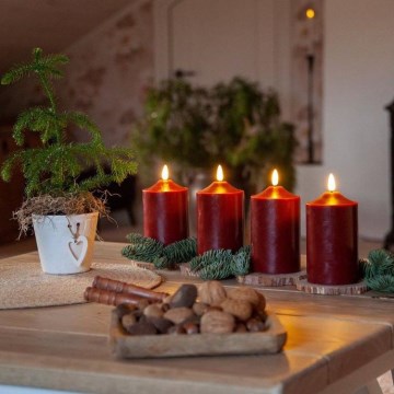 Eglo - LED božična dekoracija LED/0,03W/2xAA