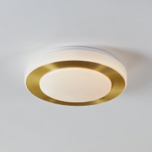 Eglo - LED Kopalniška stropna svetilka LED/10,8W/230V IP44