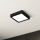 Eglo - LED Kopalniška stropna svetilka LED/11W/230V IP44 črna