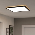 Eglo - LED Kopalniška stropna svetilka LED/17W/230V 2700/4000/6500K 50x50 cm IP44 črna