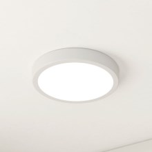 Eglo - LED Kopalniška stropna svetilka LED/17W/230V bela IP44