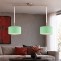 Eglo - LED lestenec na jekleni vrvici TUNJA 2xE27/60W/230V matni krom/zelena