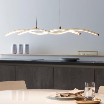 Eglo - LED Lestenec na vrvici 2xLED/8,5W/230V