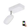 Eglo - LED RGB Reflektor PALOMBARE-C 1xLED/5W/230V