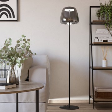 Eglo - LED RGBW z možnostjo zatemnitve stoječa svetilka LED/15,5W/230V 2700-6500K dimno steklo