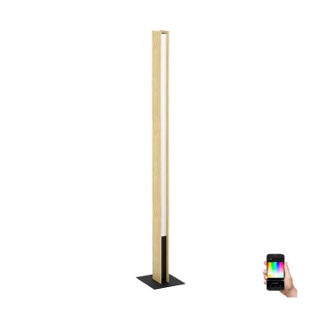 Eglo - LED RGBW Zatemnitvena stoječa svetilka LED/35W/230V 2700-6500K