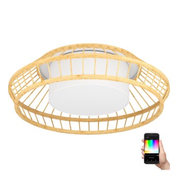 Eglo - LED RGBW Zatemnitvena stropna svetilka LED/22W/230V 2700-6500K
