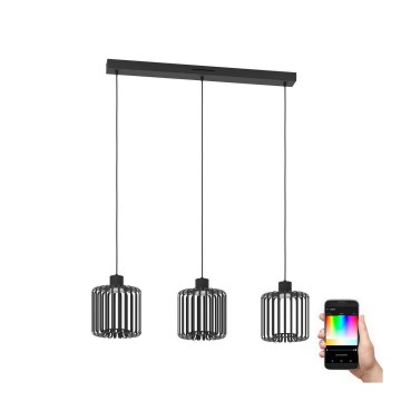 Eglo - LED RGBW Zatemnitveni lestenec na vrvici 3xLED/3,7W/230V 2700-6500K