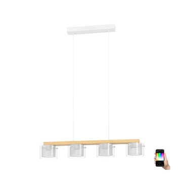 Eglo - LED RGBW Zatemnitveni lestenec na vrvici 4xLED/3,7W/230V 2700-6500K