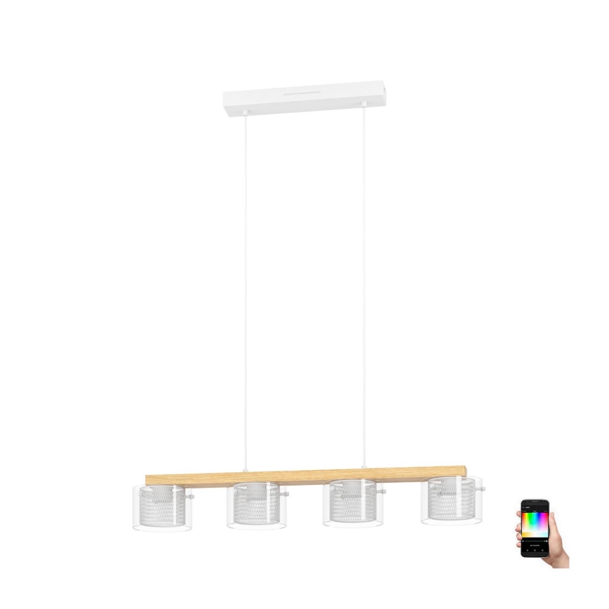 Eglo - LED RGBW Zatemnitveni lestenec na vrvici 4xLED/3,7W/230V 2700-6500K