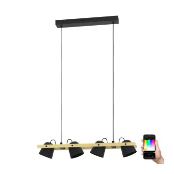 Eglo - LED RGBW Zatemnitveni lestenec na vrvici 4xLED/3,7W/230V 2700-6500K