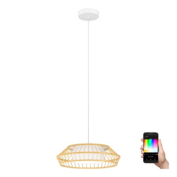 Eglo - LED RGBW Zatemnitveni lestenec na vrvici LED/22W/230V 2700-6500K
