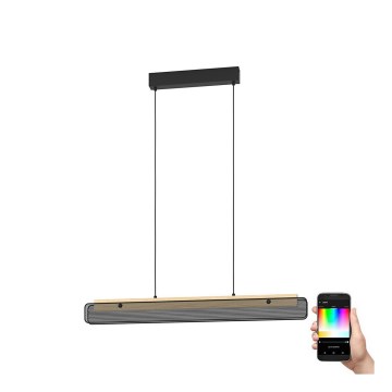 Eglo - LED RGBW Zatemnitveni lestenec na vrvici LED/34W/230V 2700-6500K