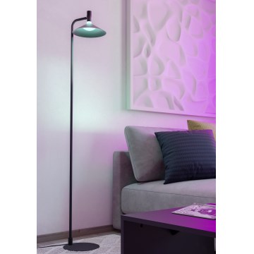 Eglo - LED RGBW Zatemnjevalna stojna svetilka LED/7,5W/230V 2700-6500K črna