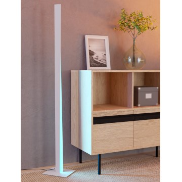 Eglo - LED RGBW zatemnjiva stoječa svetilka LED/10,5W/230V + LED/15,2W siva