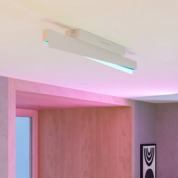 Eglo - LED RGBW zatemnljivo stropno svetilo LED/13W/230V 2700-6500K siva