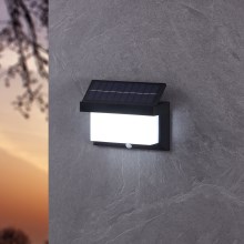 Eglo - LED Solarna stenska svetilka s senzorjem LED/3,84W/3,7V IP44