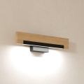 Eglo - LED Stenska svetilka LED/9,6W/230V