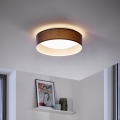 Eglo - LED stropna svetilka 1xLED/12W/230V