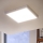 Eglo - LED Stropna svetilka 1xLED/25W/230V bela kvadratna 2500 lm
