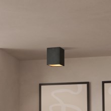 Eglo - LED Stropna svetilka 1xLED/3,3W/230V