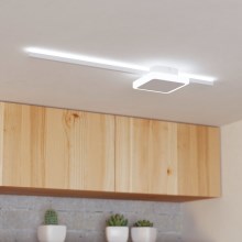 Eglo - LED Stropna svetilka 1xLED/6,3W/230V + 1xLED/5,4W