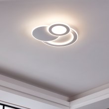 Eglo - LED Stropna svetilka 3xLED/11W/230V