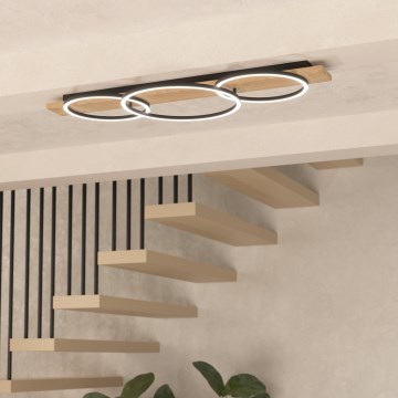Eglo - LED Stropna svetilka 3xLED/12W/230V 3000K bež/črna