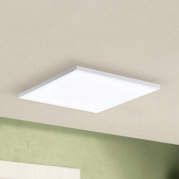 Eglo - LED Stropna svetilka LED/10,8W/230V