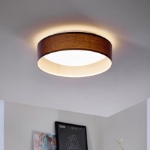 Eglo - LED stropna svetilka LED/11W/230V