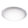 Eglo - LED stropna svetilka LED/11W/230V