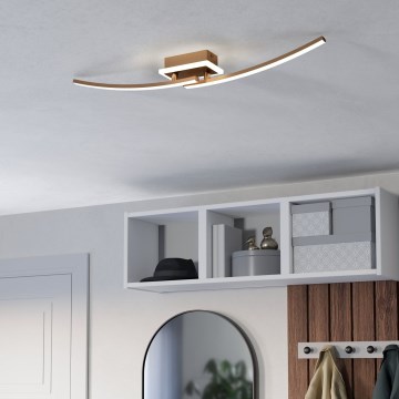Eglo - LED Stropna svetilka LED/12W/230V 4000K baker