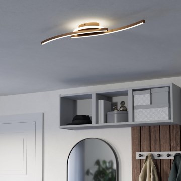 Eglo - LED Stropna svetilka LED/12W/230V 4000K baker