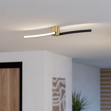 Eglo - LED Stropna svetilka LED/12W/230V 4000K črna