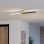 Eglo - LED Stropna svetilka LED/12W/230V 4000K črna