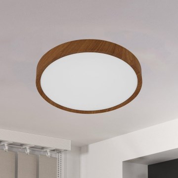 Eglo - LED Stropna svetilka LED/14,6W/230V